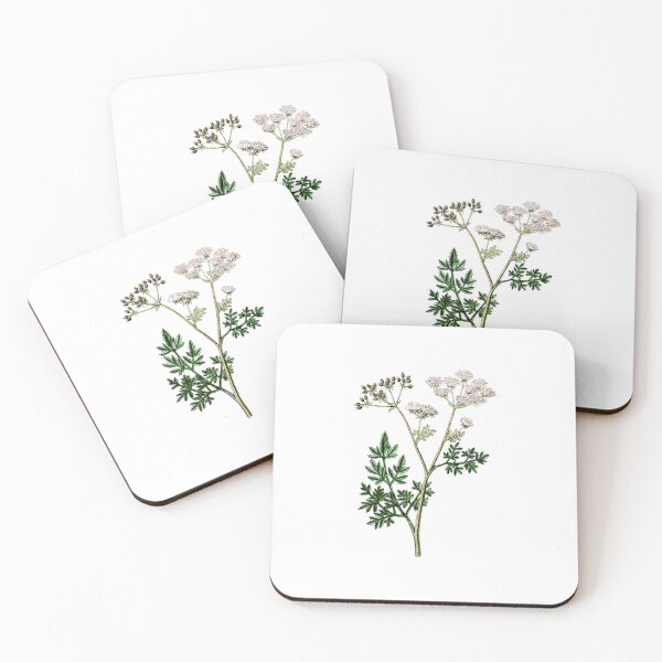 Item preview, Vintage Poison Hemlock - Conium maculatum, Antique Botanical Illustration, Poisonous Plants, Witches Herbs designed and sold by Larkwort.