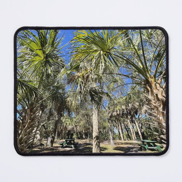 Item preview, Florida Palm Trees designed and sold by Sparkleweather.