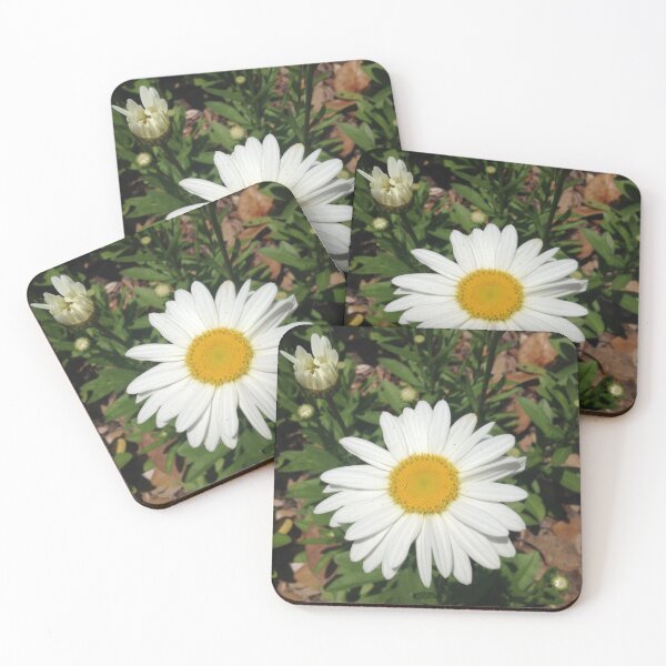 Item preview, Shasta Daisy designed and sold by sgbbrand.