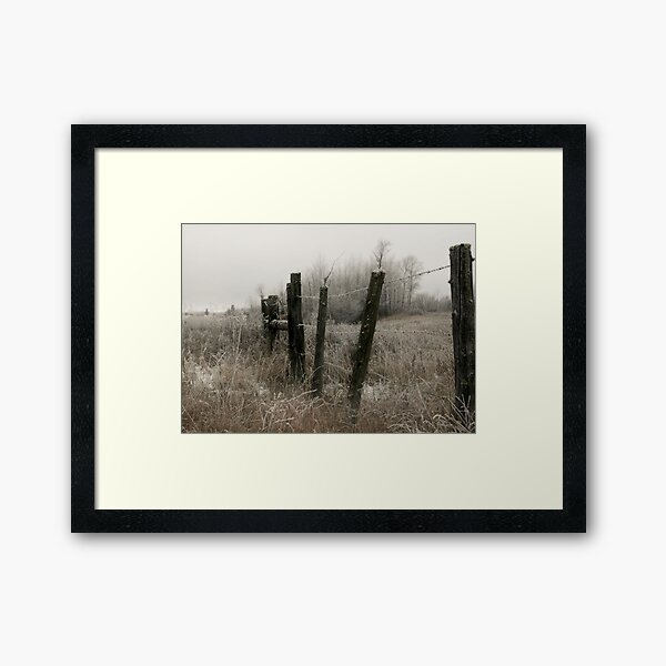 Seen Every Season Framed Art Print