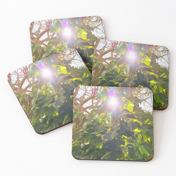 Item preview, Nature's Brilliance: Stunning Shot of Sunlight Through Exotic Green Foliage designed and sold by PhotografeeMrsB.