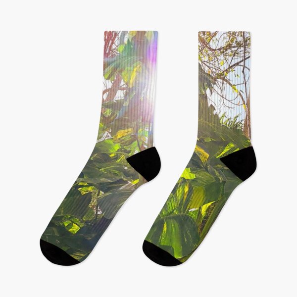 Item preview, Nature's Brilliance: Stunning Shot of Sunlight Through Exotic Green Foliage designed and sold by PhotografeeMrsB.