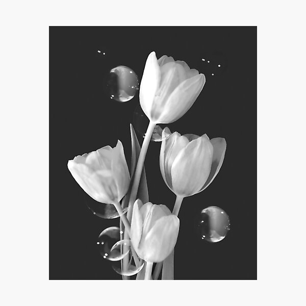 Artistic Tulip Bouquet 2 Photographic Print