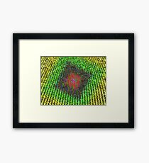 coloured hay Framed Print