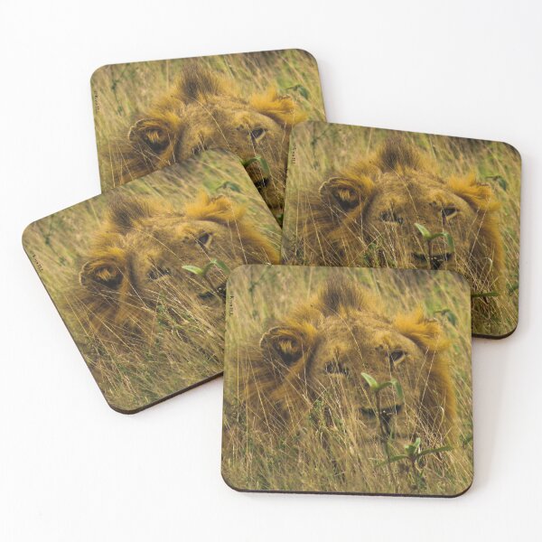Item preview, Lion looking at you designed and sold by KoyaHL.
