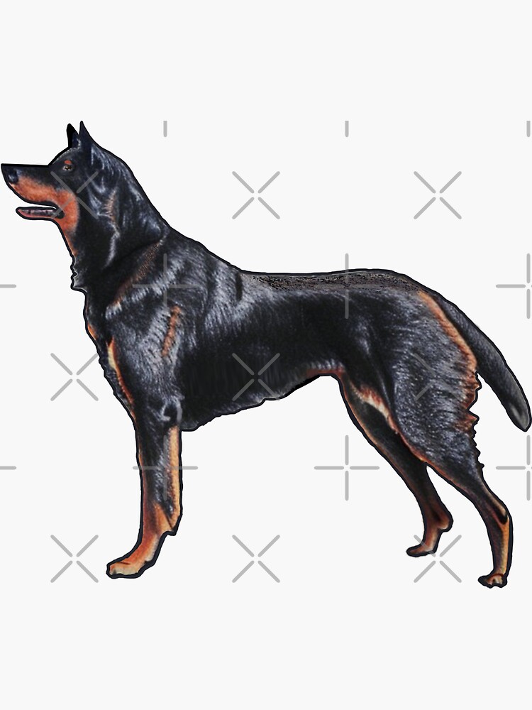 Beauceron Dog puzzle, wooden dog puzzle, dog puzzle, wooden animal