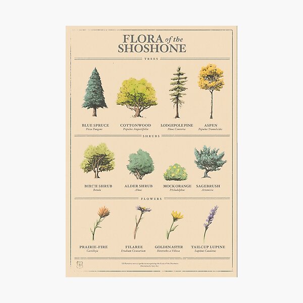 Item preview, Shoshone Flora Firewatch Poster designed and sold by Wombo56.