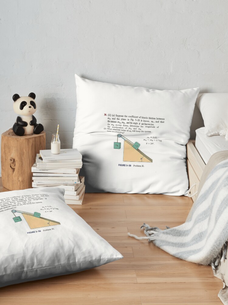 Alternate view of Physics problem: Suppose the coefficient of kinetic friction between the mass and the plane is known. #Physics #Education #PhysicsEducation, Floor Pillow