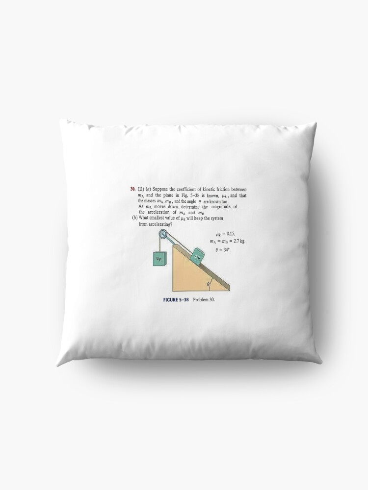Alternate view of Physics problem: Suppose the coefficient of kinetic friction between the mass and the plane is known. #Physics #Education #PhysicsEducation, Floor Pillow