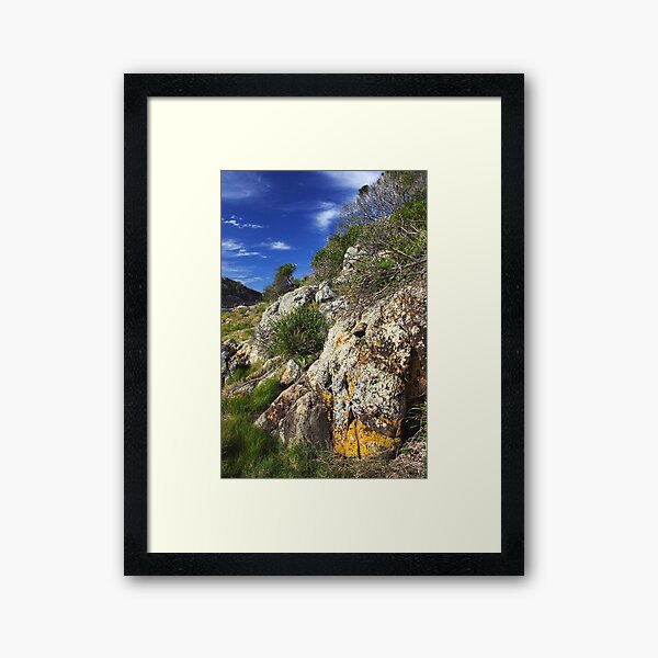 Item preview, Mimosa Rocks designed and sold by Darren Stones.