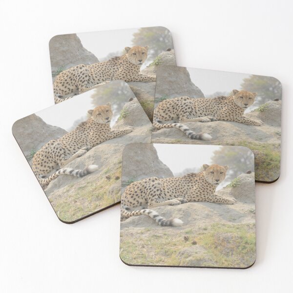Item preview, Cheetah Stare, Termite Mound, Botswana, Africa. designed and sold by Tom Wurl.