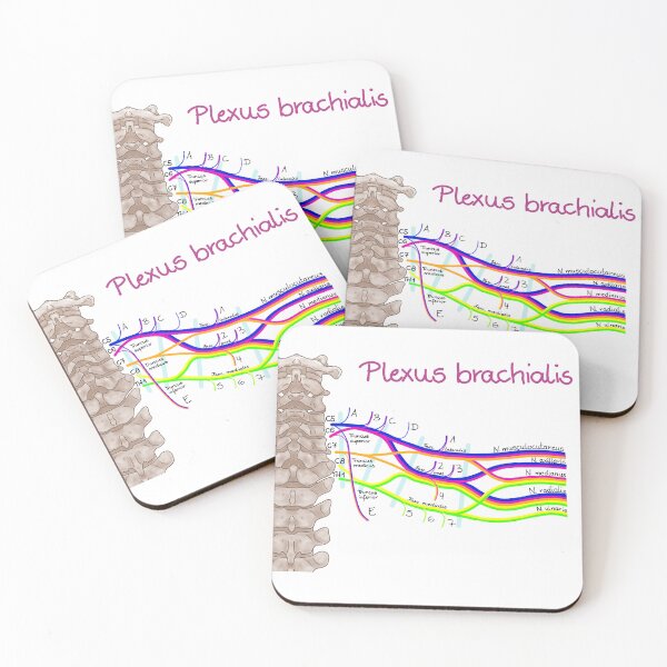 Item preview, brachial plexus designed and sold by Juliane  Heinecke.