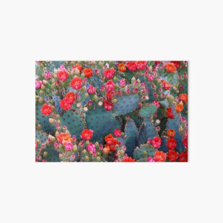 Artikel-Vorschau von Erstaunliche Kaktusblumen, designt und verkauft von simonjayphotos.