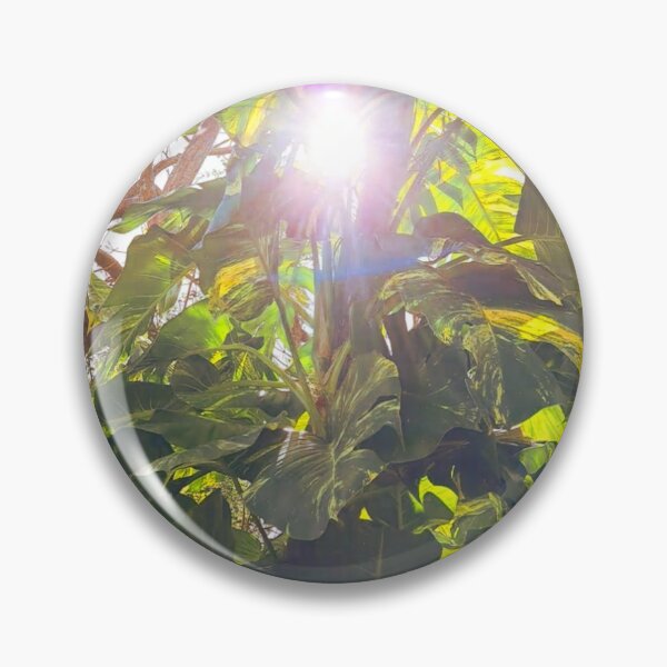 Item preview, Nature's Brilliance: Stunning Shot of Sunlight Through Exotic Green Foliage designed and sold by PhotografeeMrsB.