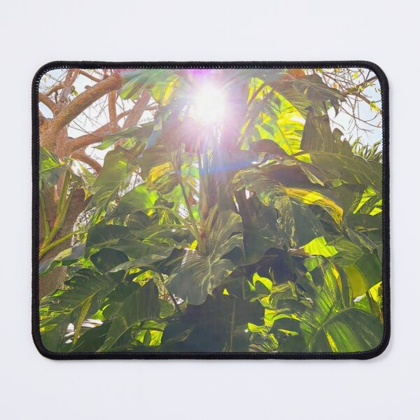 Item preview, Nature's Brilliance: Stunning Shot of Sunlight Through Exotic Green Foliage designed and sold by PhotografeeMrsB.