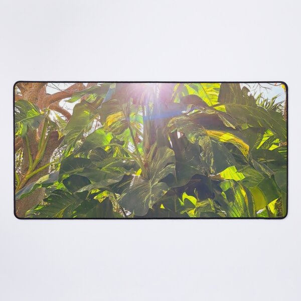Item preview, Nature's Brilliance: Stunning Shot of Sunlight Through Exotic Green Foliage designed and sold by PhotografeeMrsB.