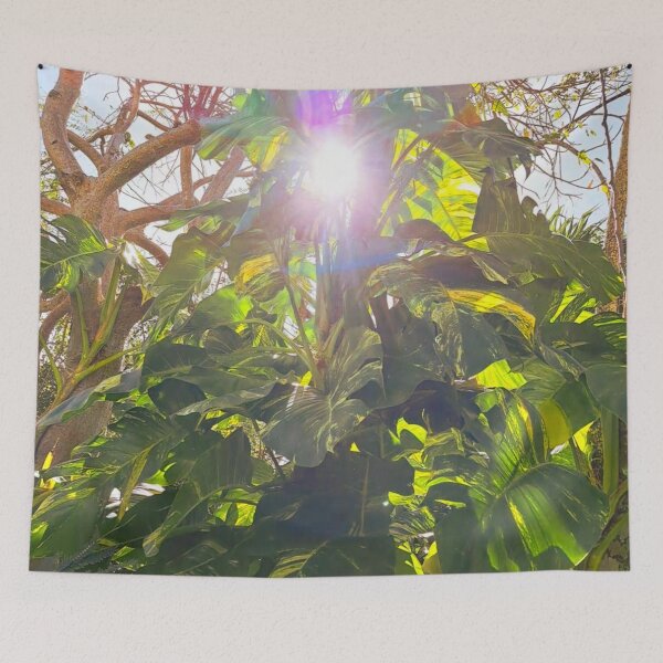 Item preview, Nature's Brilliance: Stunning Shot of Sunlight Through Exotic Green Foliage designed and sold by PhotografeeMrsB.