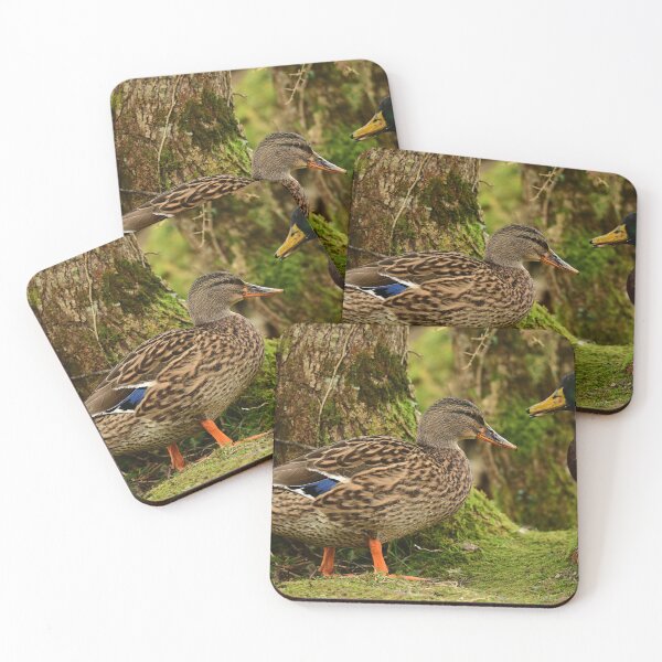 Item preview, Mallards  designed and sold by ollygriffin.