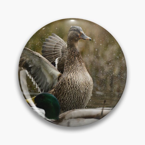 Item preview, Mallards  designed and sold by ollygriffin.