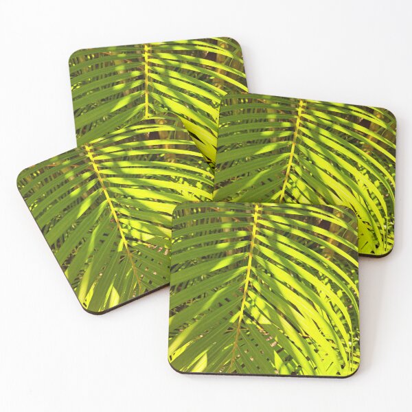 Item preview, Unedited Photography that Captures the Beauty of Sunlight and Ferns in One Shot designed and sold by PhotografeeMrsB.