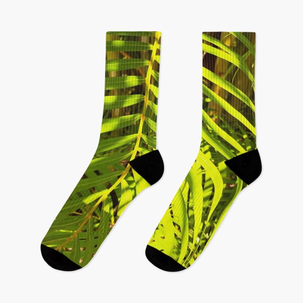 Item preview, Unedited Photography that Captures the Beauty of Sunlight and Ferns in One Shot designed and sold by PhotografeeMrsB.
