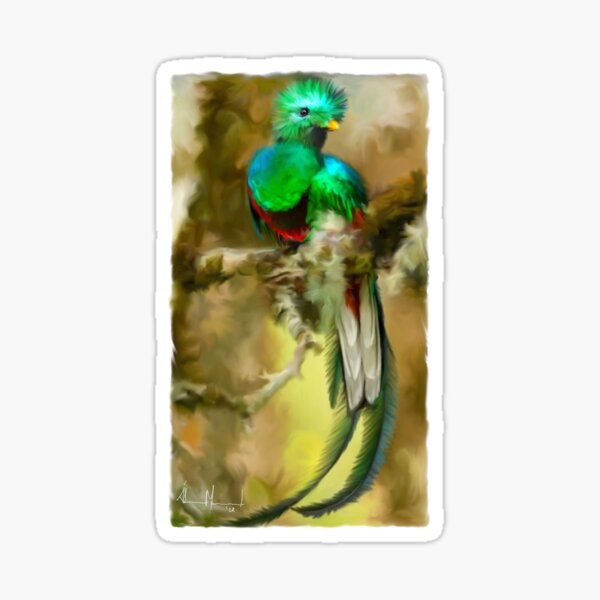 Resplendant Quetzal Sticker