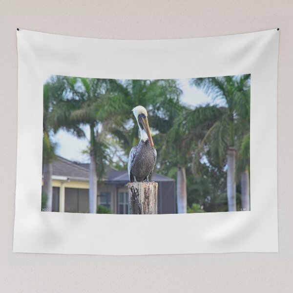 Item preview, Perched Pelican designed and sold by LisaWootenPhoto.