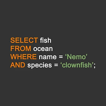 Artwork thumbnail, Programming Code - Finding Nemo by Graham Baitson