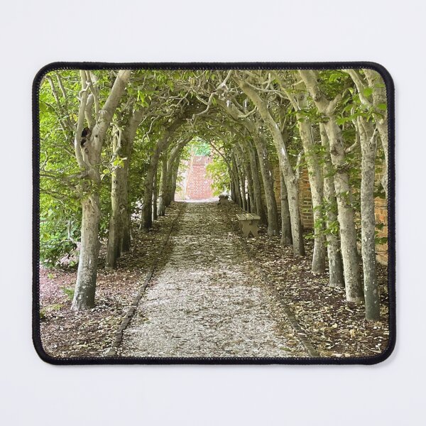 Item preview, Secret Garden designed and sold by 5x5 Adventures .