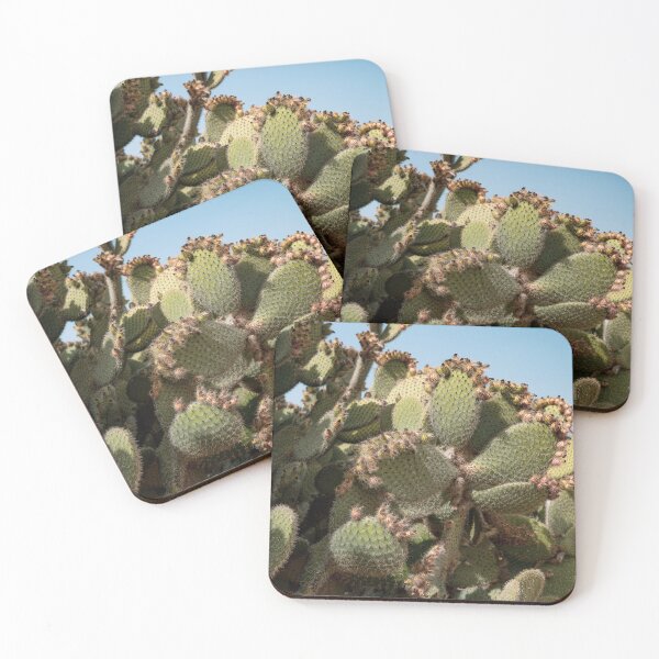 Item preview, Cacti at the Lagos Zoo, Portugal designed and sold by LazyCho.