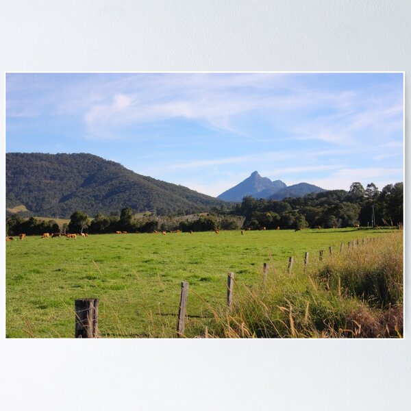 Item preview, Mt Warning designed and sold by Elaine Harriott.