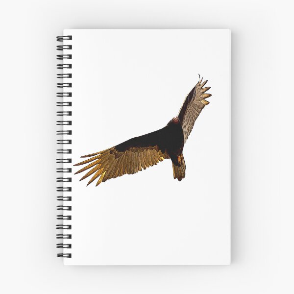 Item preview, raptor in flight designed and sold by ricobarinas.
