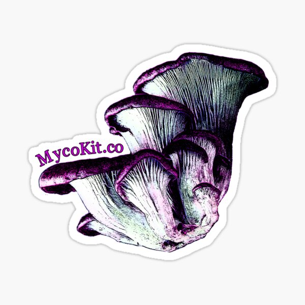 Item preview, Chanterelle MycoKit.co designed and sold by MycoKitCo.