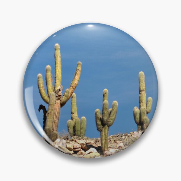 Item preview, Cactus in the Heart of Quebrada designed and sold by franck380.