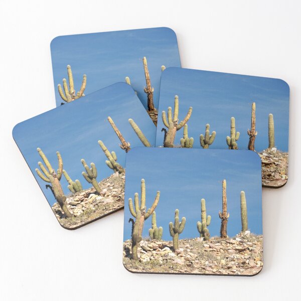 Item preview, Cactus in the Heart of Quebrada designed and sold by franck380.