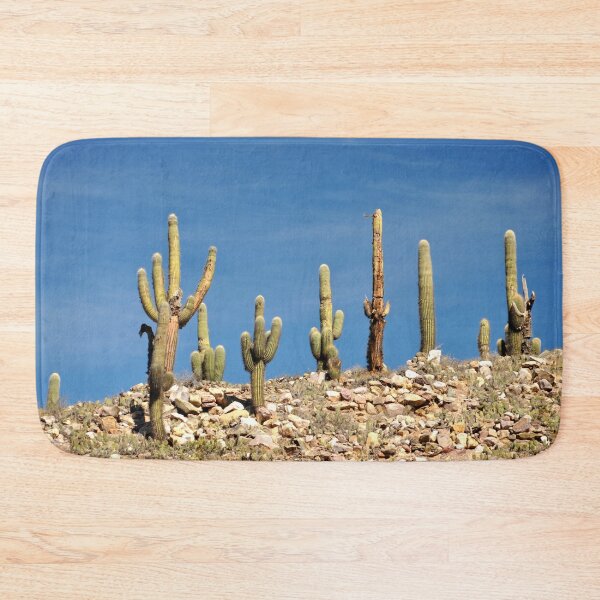 Item preview, Cactus in the Heart of Quebrada designed and sold by franck380.