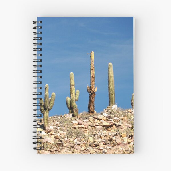 Item preview, Cactus in the Heart of Quebrada designed and sold by franck380.