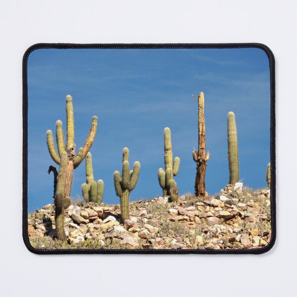 Item preview, Cactus in the Heart of Quebrada designed and sold by franck380.