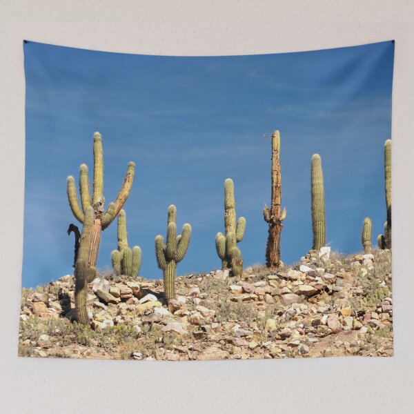 Item preview, Cactus in the Heart of Quebrada designed and sold by franck380.