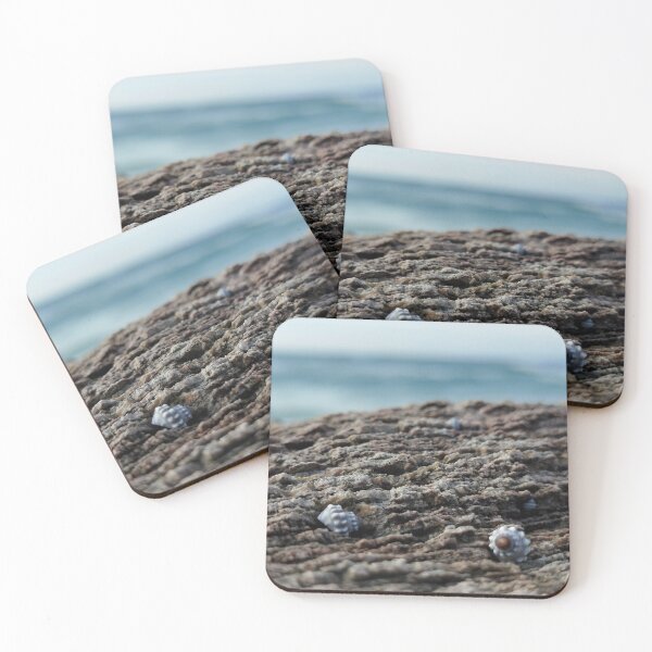 Item preview, Star Shells on the Rocks designed and sold by susiinoz.