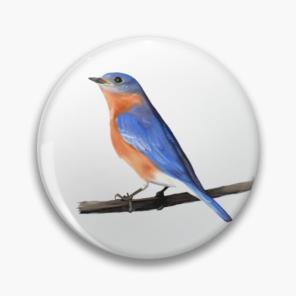 Artikelvorschau, Östliche Drossel (Sialia sialis) Illustration entworfen und verkauft von ModelOrganism.