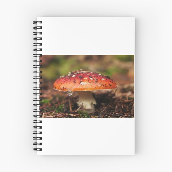 Item preview, Red toadstool designed and sold by frogs123.