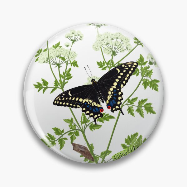 Item preview, Eastern Black Swallowtail Butterfly Life Cycle (Papilio polyxenes) with Poison Hemlock Illustration designed and sold by ModelOrganism.