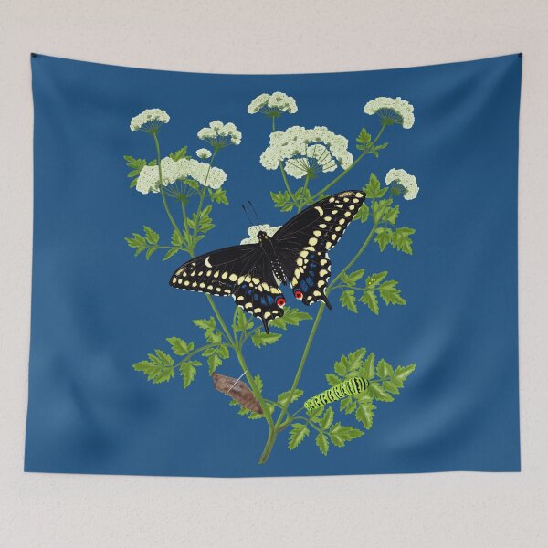 Item preview, Eastern Black Swallowtail Butterfly Life Cycle (Papilio polyxenes) with Poison Hemlock Illustration designed and sold by ModelOrganism.