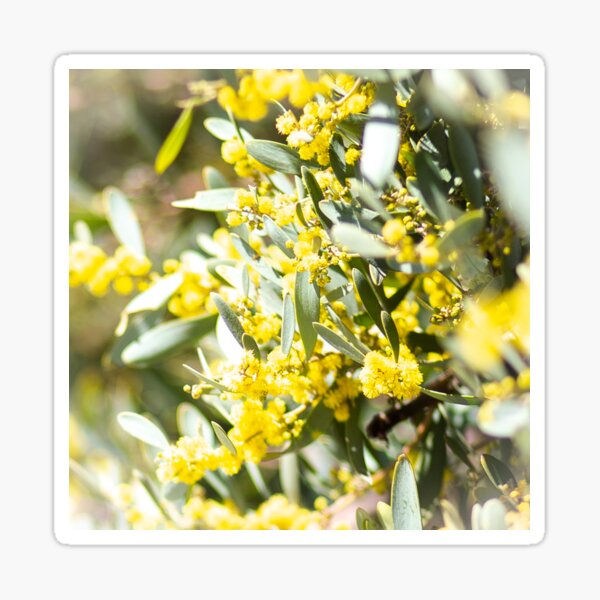 At Last - Flower, yellow, bush, plant, art Sticker