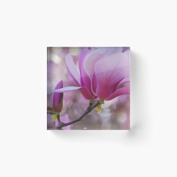 Item preview, Magnolia Sparkle designed and sold by SoelleBloom.