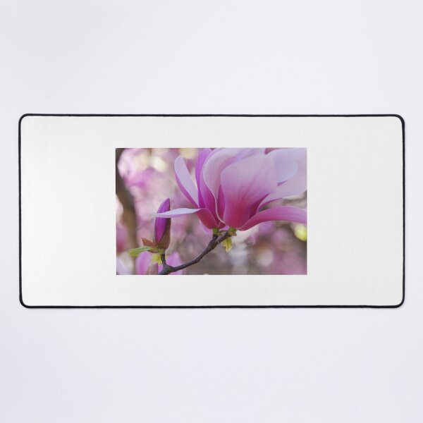 Item preview, Magnolia Sparkle designed and sold by SoelleBloom.