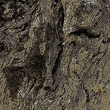 Artwork thumbnail, Tree Texture Reworked by Honey Myrtle Studio