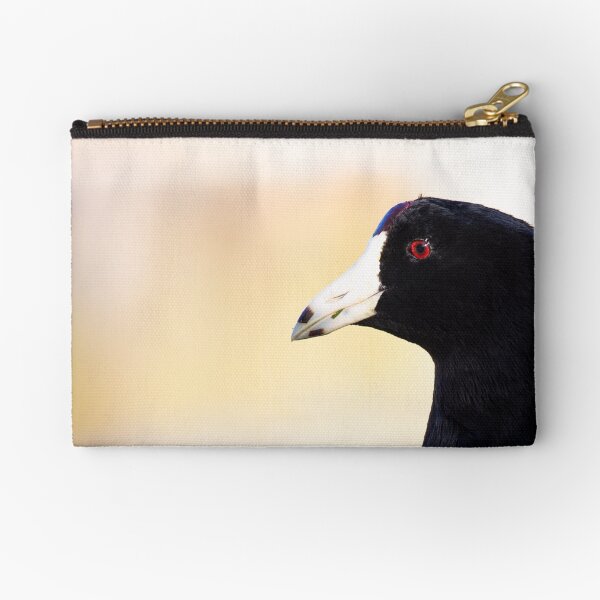 Duckity, Duck, Duck - Bird, duck, animal, photo, nature Zipper Pouch