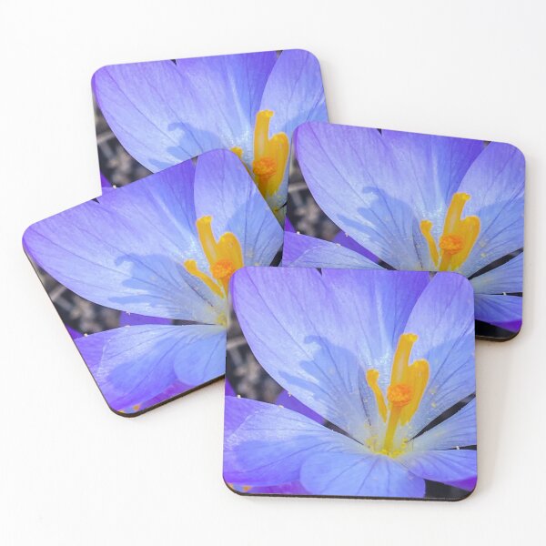 Item preview, Early Spring Crocus  designed and sold by Wolfcreek1.